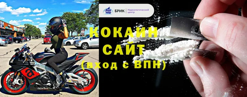 COCAIN Fish Scale  Александровск-Сахалинский 