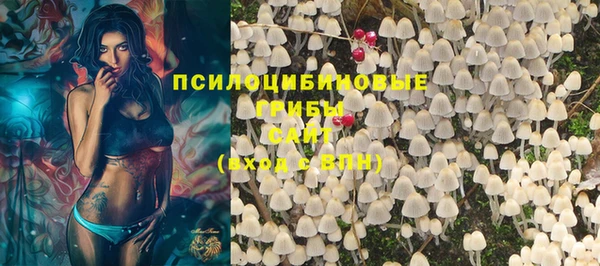 PSILOCYBIN Вязники